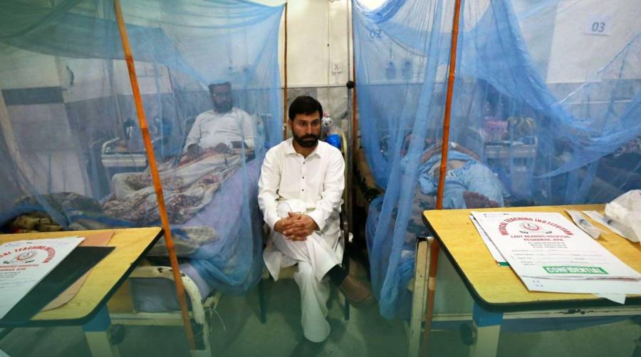 Healthcare workers treating dengue patients in Sindh hospitals as cases surge and death toll reaches 31.