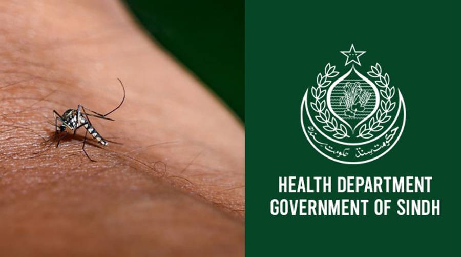 Health officials in Sindh report three more dengue deaths as critics warn of unequal mosquito‑control efforts.
