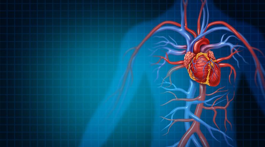 Discover how black cumin seed may support cholesterol management and heart health. Experts urge caution despite promising early results.