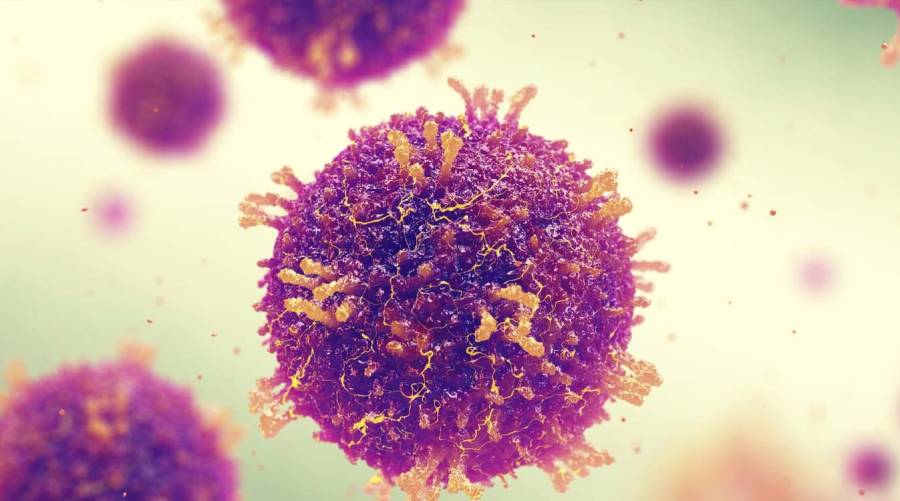 Measles outbreak in Khairpur claims the lives of three children, sparking urgent calls for healthcare intervention.