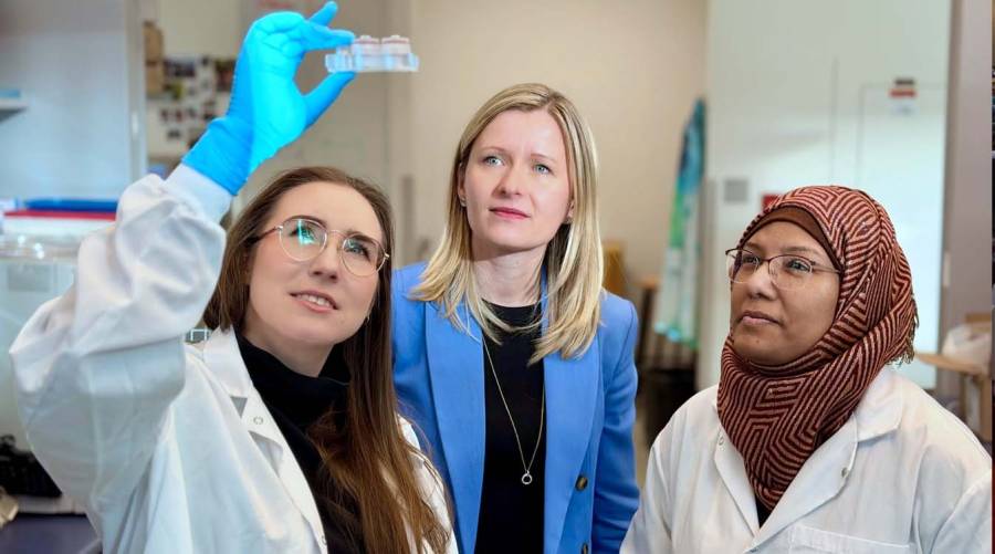 Gene therapy developed for permanent treatment of skin disorders.