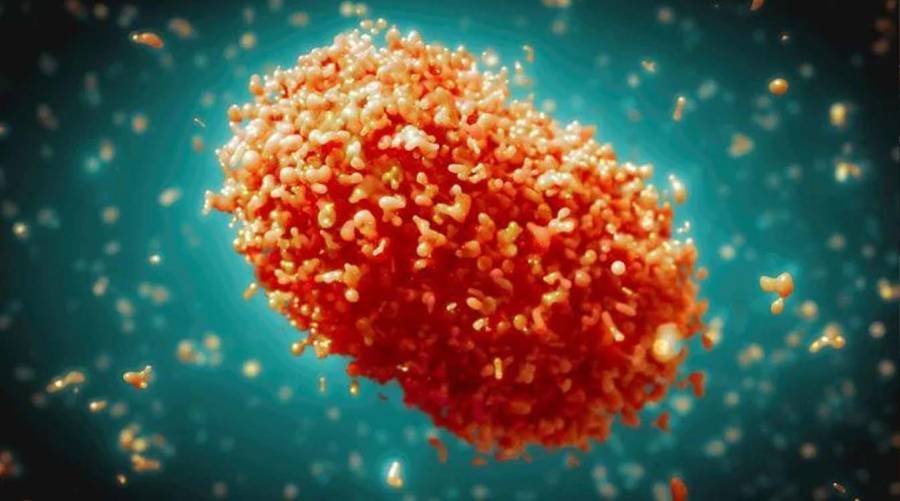 Critically ill children are referred from Khairpur to Gambat as Sindh’s worsening mpox outbreak pushes the pediatric death toll to 12. 