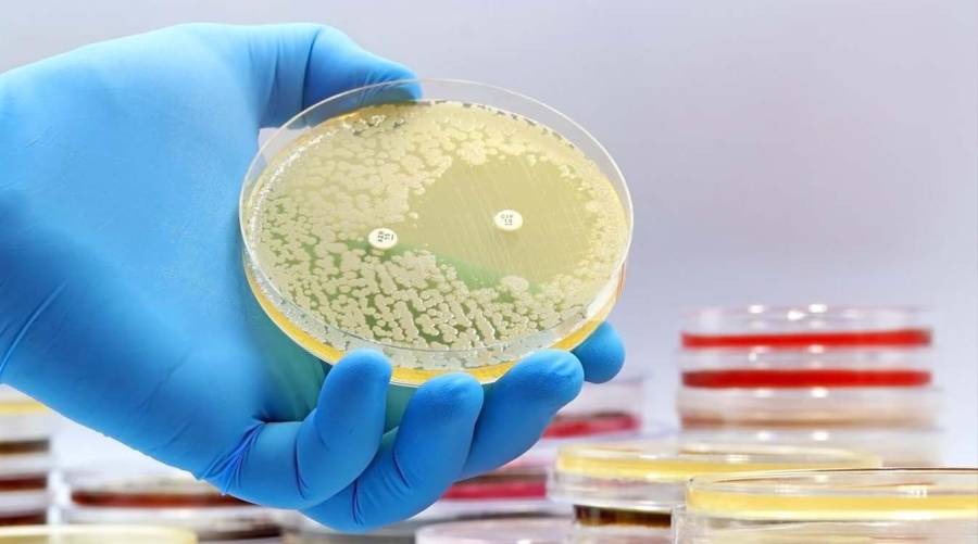 Drug-resistant Shigella infection linked to antimicrobial resistance and diarrheal disease treatment challenges