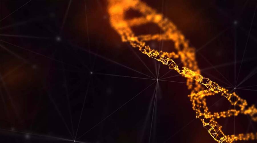 Scientists studying gene therapy for hearing restoration in laboratory research showing potential cure for deafness.
