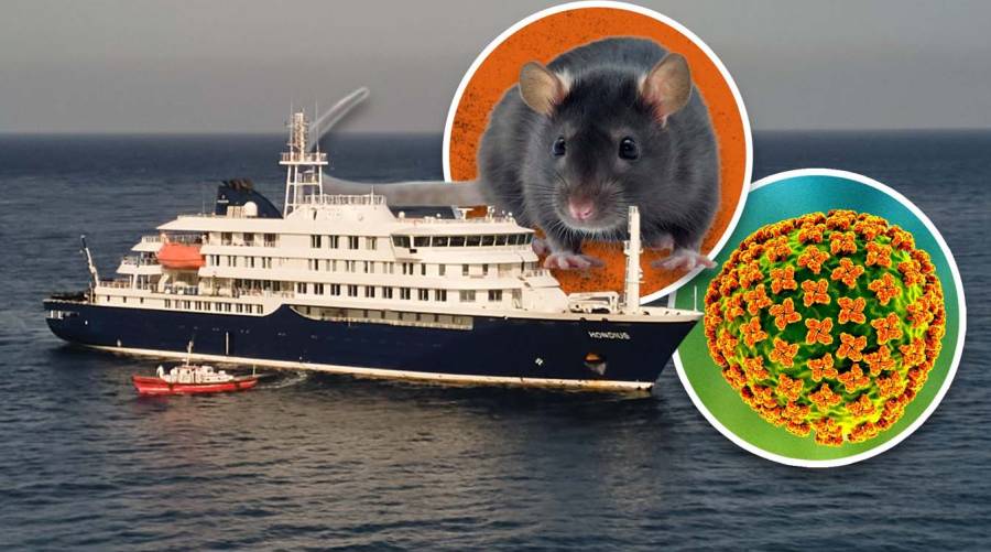 WHO monitoring hantavirus outbreak linked to international cruise ship travel