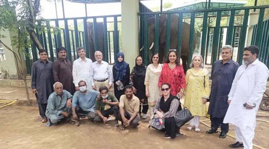 Dr. Naseem Salahuddin remembered for her contributions to infectious disease care, rabies prevention, tuberculosis treatment, and public health in Pakistan.