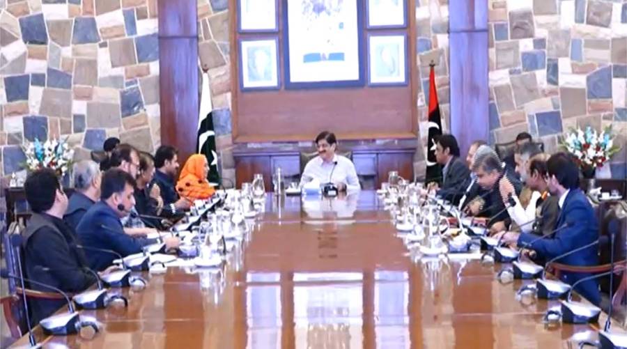 Sindh government announces anti-rabies campaign to combat rising dog-bite cases and improve access to vaccines and treatment.