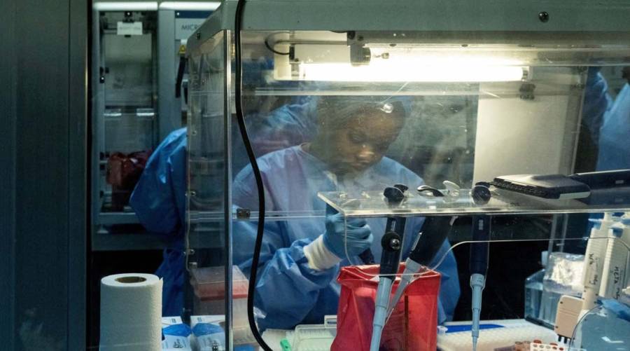 Healthcare workers respond to the Bundibugyo Ebola outbreak in the Democratic Republic of Congo as the first patient enters an experimental treatment trial.