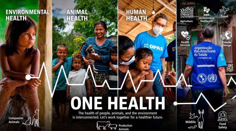 Illustration representing the One Health approach linking human health, animal health and environmental health to prevent infectious disease outbreaks.