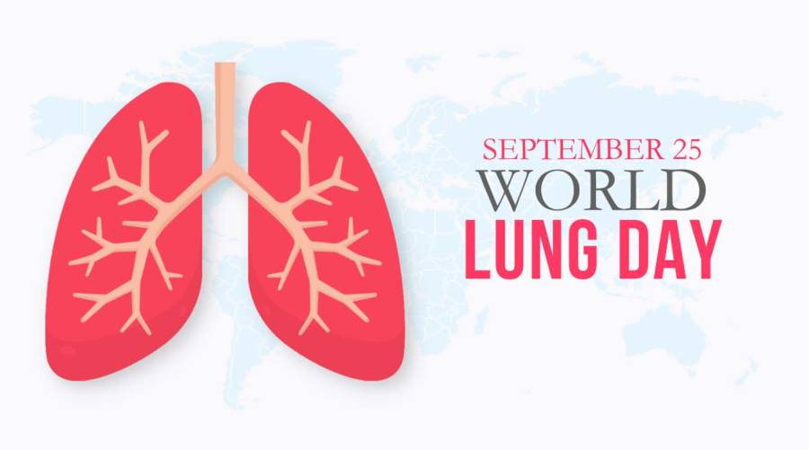 World Lung Day story highlights lung health risks from cigarette smoke, air pollution and harmful exposure